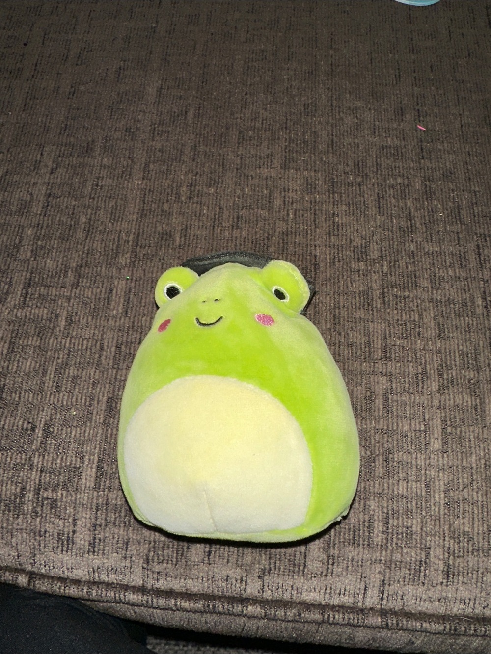 Wendy Witch Squishmallow Plush Frog Small Pet Toy - Green